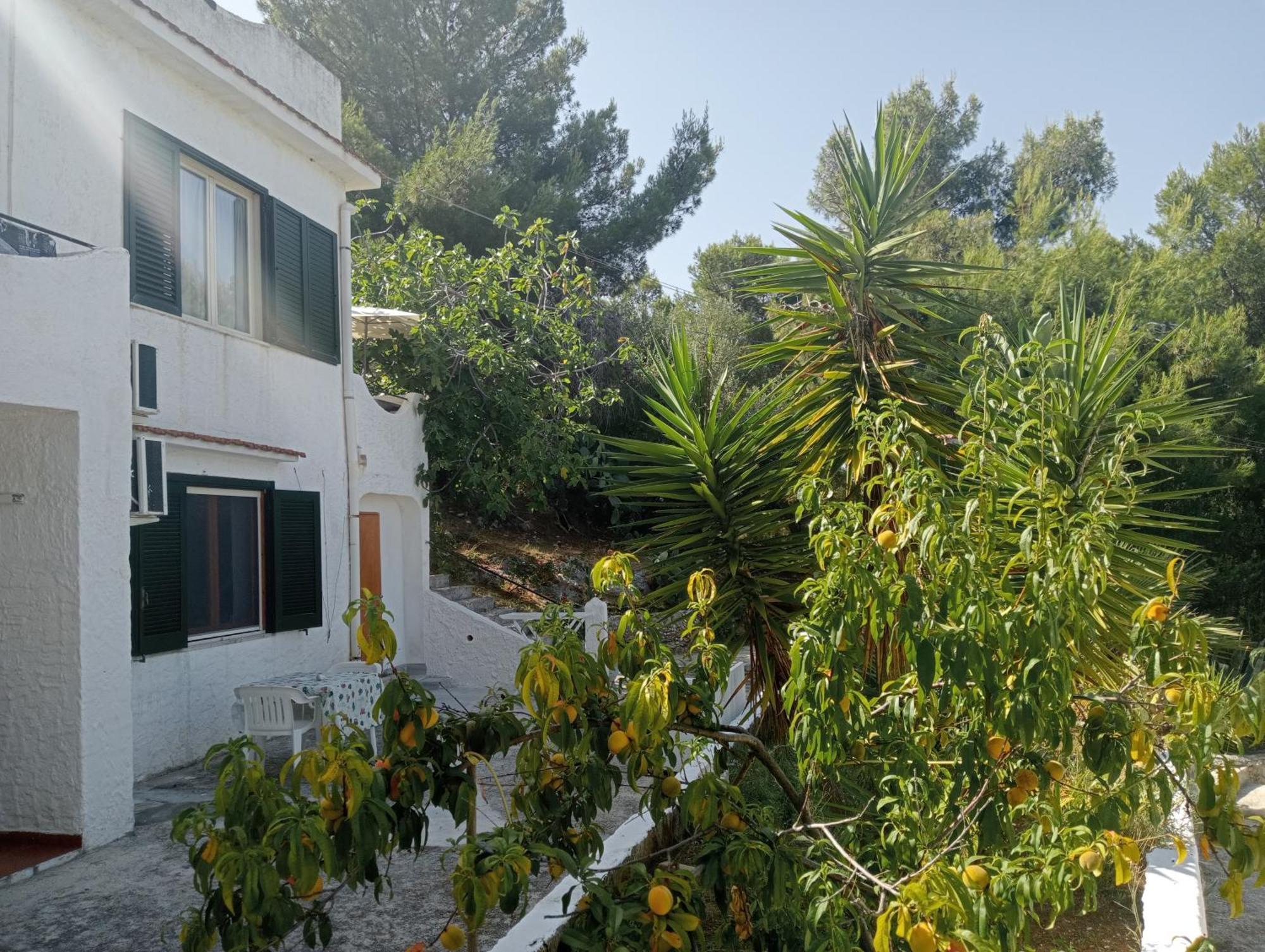 Residence Dolce Far Niente Vieste Exteriér fotografie
